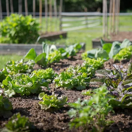 Vakantieboerderij La Collina Delle Mignole