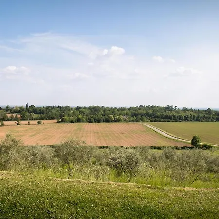 La Collina Delle Mignole *