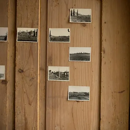 La Collina Delle Mignole Vakantieboerderij Moruzzo