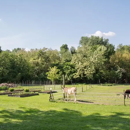La Collina Delle Mignole