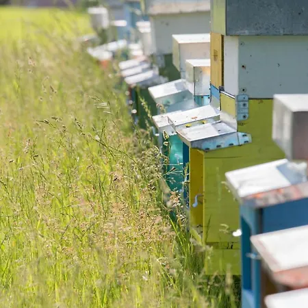 La Collina Delle Mignole * Moruzzo