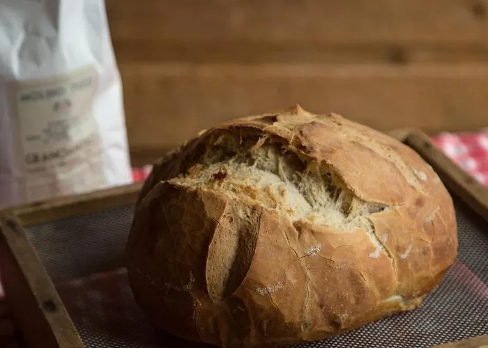 Farmház La Collina Delle Mignole *