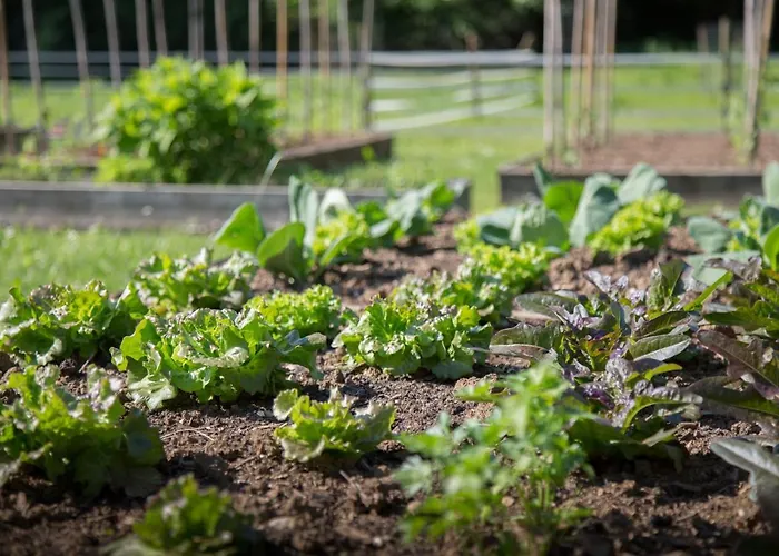 Farmház La Collina Delle Mignole