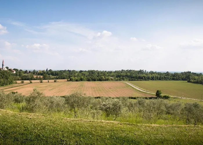 La Collina Delle Mignole *