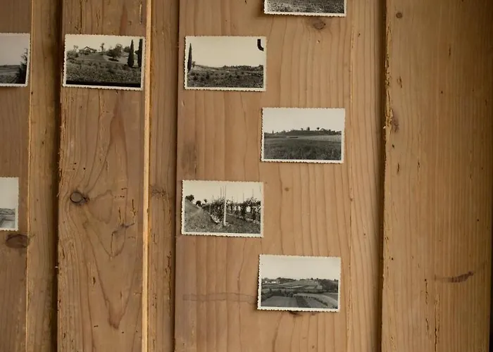 La Collina Delle Mignole Farmház Moruzzo