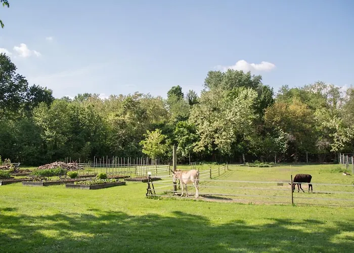 La Collina Delle Mignole