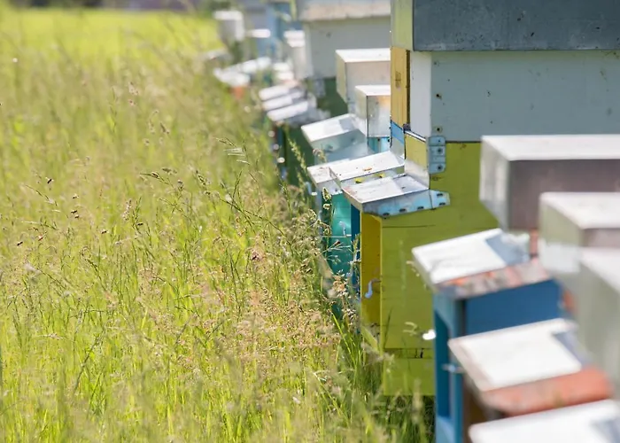 La Collina Delle Mignole * Moruzzo